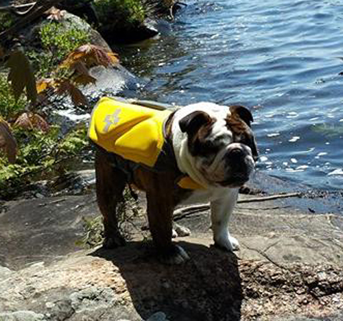 swimming